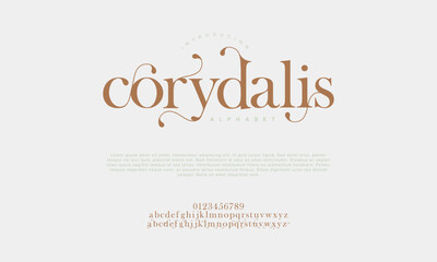 Obraz premium Corydalis swash luxury elegant alphabet letters and numbers. Vintage wedding typography classic serif font decorative vintage retro. creative vector illustration