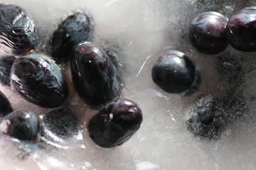 Frozen grapes in ice block