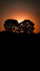 sunset in the mountains