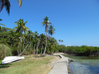 Coastline and tropical jungles in Panama