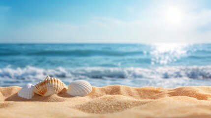 Seashells on Sunny Beach with Waves
