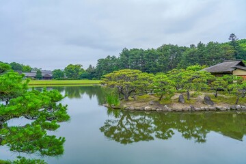 静寂に包まれた広大な日本庭園の情景