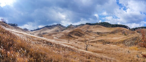 青空バックに見る砥峰高原の秋のパノラマ情景