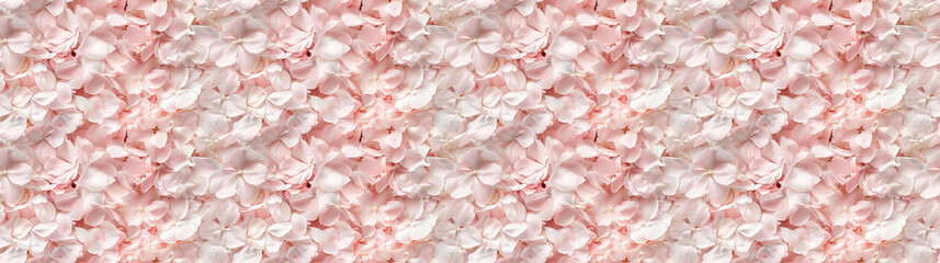 a densely packed pattern backgroundof cherry blossom petals completely covering the surface