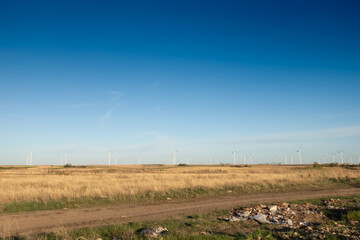 Selective blur on Windmills in a field in Vojvodina, Serbia. The image captures a renewable energy landscape with turbines generating electricity, set against a clear blue sky.