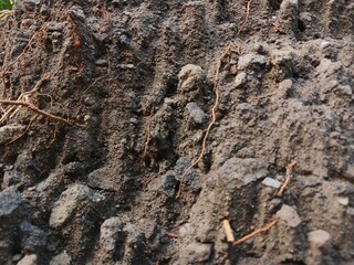 The texture of the sandy soil forms mountains