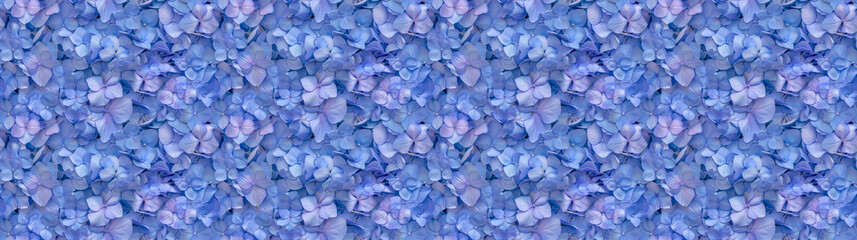 Fototapeta premium a densely packed pattern backgroundof hydrangea petals completely covering the surface