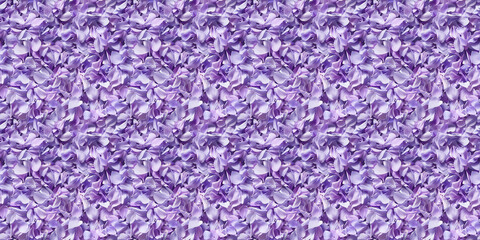 a densely packed texture background of individual lavender petals completely covering the surface