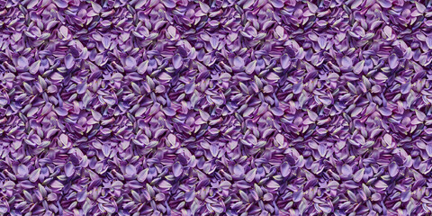 a densely packed texture background of individual lavender petals completely covering the surface