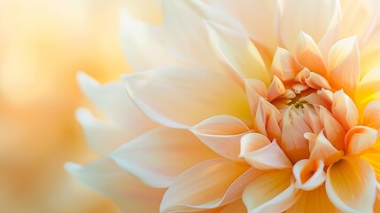 Obraz premium Closeup of an isolated dahlia flower shot with selective focus and blur background : Generative AI