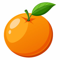 illustration of an orange fruit
