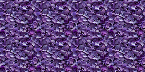a densely packed texture background of individual lavender petals completely covering the surface