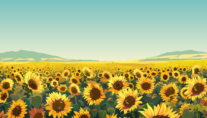Fototapeta premium Rustic sunflower field landscape. Yellow flower heads in front. Hills and meadows on the back. Light blue clean sky. Nature countryside background. Cartoon style vector illustration