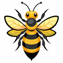 bee and flower