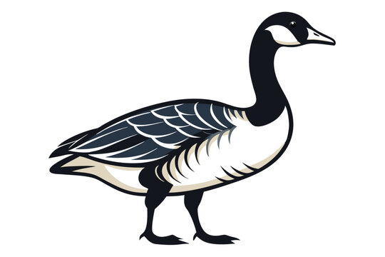 Canadian Goose Vector Images Browse 1 743 Stock Photos Vectors and Video Adobe Stock