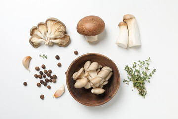 Mushrooms, concept of autumn food, autumn harvest