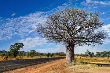 Western Australia Great Northern Hwy Durack WA