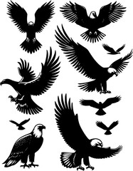 collection of eagle