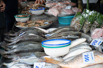 Variety seafood fish sell in local fishery fresh market