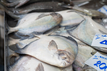 Variety seafood fish sell in local fishery fresh market