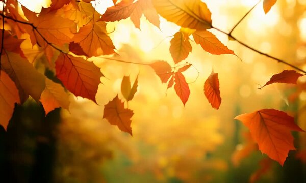 slow motion abstract autumn scene. on foreground red and orange leaves on moving branches by wind