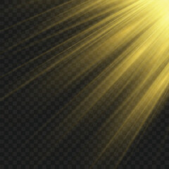 Radiant golden light rays shining on the transparent background. Vector