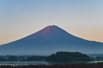 Fototapeta premium 日本山梨県河口湖からの夜明け前の富士山