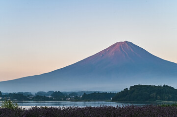 Obraz premium 日本山梨県河口湖からの夜明け前の富士山