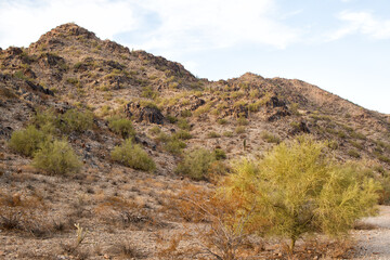 Landscape view of hills and vegetation on the Quartz Ridge trail