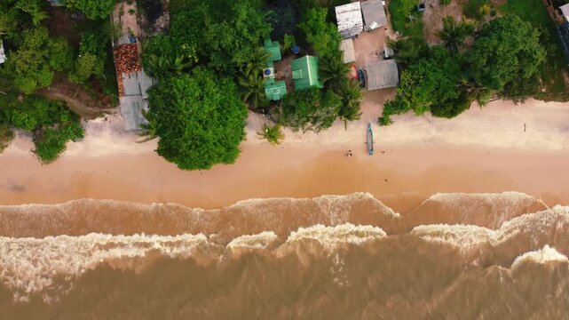 Cotijuba Island
