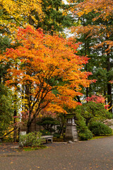 Naklejka premium Beautiful vibrant fall colors in the colorful forest of Portland Japanese Garden in Oregon, USA