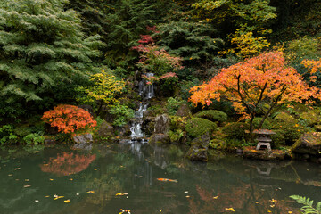 Beautiful vibrant fall colors in the colorful forest of Portland Japanese Garden in Oregon, USA