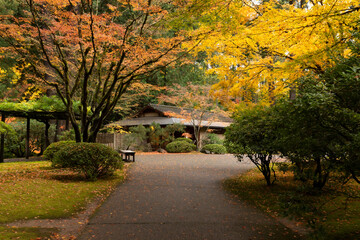 Naklejka premium Beautiful vibrant fall colors in the colorful forest of Portland Japanese Garden in Oregon, USA