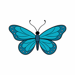 Butterfly vector art Illustration on white background
