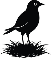  bird on the straw silhouette illustration, nature,  straw, background, feather, plant, 