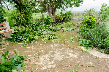 A Driveway After Hurricane Beryl on July 4th 2024 in Precious Plains, Jamaica