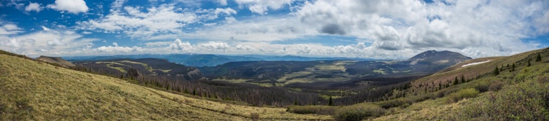 Mountain tundra panorama overlooking forest valley