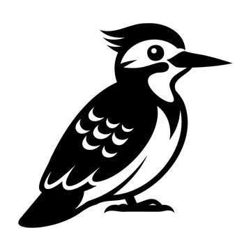 recommend clip art: A black woodpecker on a white background