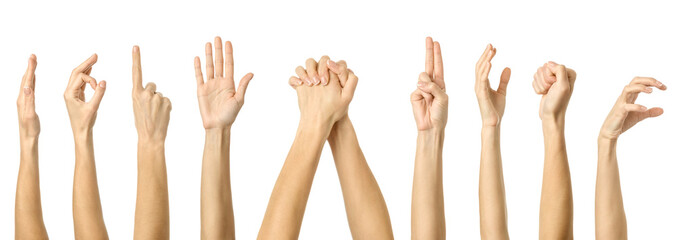 Big set of getures of female caucasian hand gestures with french manicure
