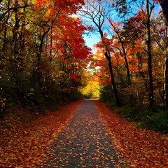 Naklejka premium path in forest
