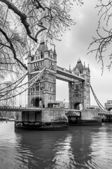 Obraz premium Tower Bridge in London, Framed by Bare Tree Branches