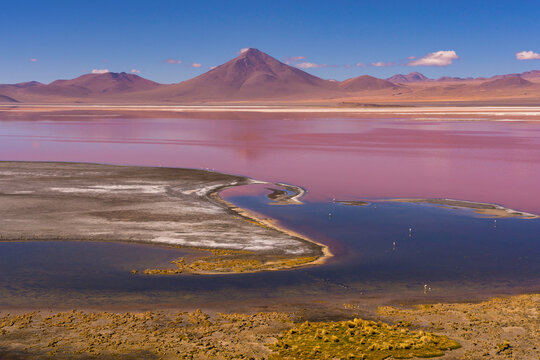 Panorama view of the red lagoon and mountain range , Colorada Lake in Salar de Uyuni district, Bolivia. - Powered by Adobe
