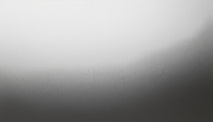 Fototapeta premium Quiet Sophistication: White-Gray Noise Texture