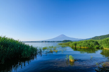 Obraz premium 山梨県河口湖と富士山