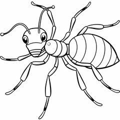  Ant line art vector illustration 