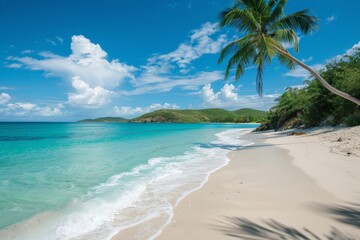 beach with clear turquoise waters