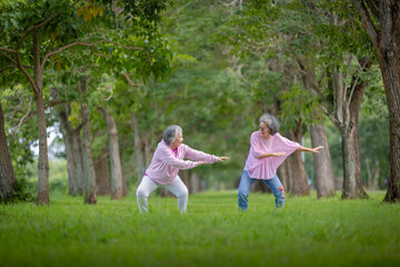 Naklejka premium Two Elderly Women Exercising Outdoors in a Tree-Lined Park, Embracing Health and Friendship