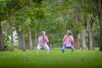 Fototapeta premium Two Elderly Women Exercising Outdoors in a Tree-Lined Park, Embracing Health and Friendship
