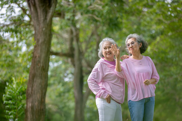 Fototapeta premium Two Elderly Women Walking and Talking in a Tree-Lined Park, Enjoying Nature and Companionship