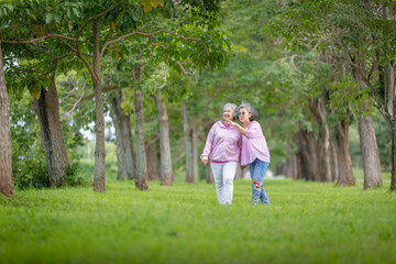 Fototapeta premium Two Elderly Women Walking and Talking in a Tree-Lined Park, Enjoying Nature and Companionship